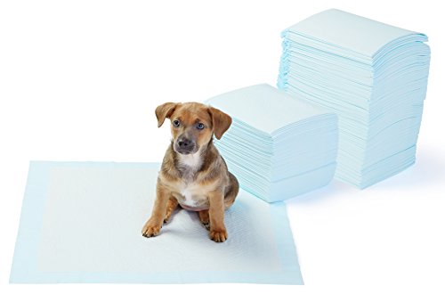 Product Cover AmazonBasics Regular Pet Dog and Puppy Training Pads - Pack of 150