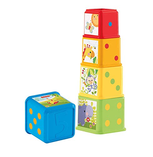 Product Cover Fisher-Price Stack and Explore Blocks