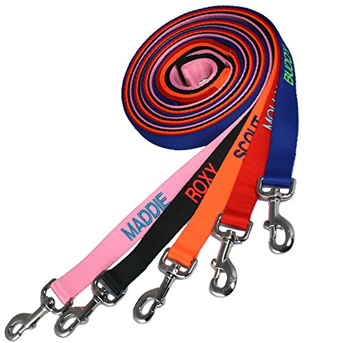 Product Cover GoTags Personalized Dog Leash Embroidered with Dog Name or Custom Text, Black, Blue, Pink, Orange, and Red Dog Leashes with Comfort Loop Handle for Large, Medium and Small Dogs