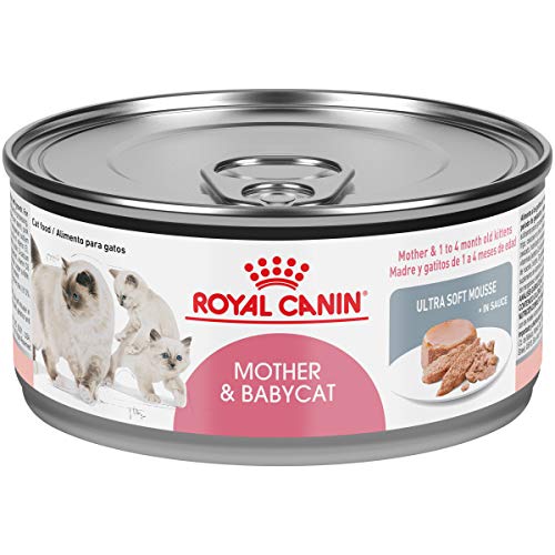 Product Cover Royal Canin Mother & Babycat Ultra-Soft Mousse in Sauce Wet Cat Food for New Kittens and Nursing or Pregnant Mother Cats, 5.8 Ounce (Pack of 24)