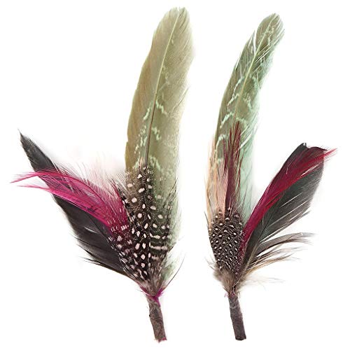 Product Cover Zucker Feather (TM) - Pheasant-Hackle-Guinea Feather Hat Trims Champagne/Mint/Natural