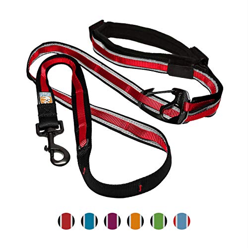 Product Cover Kurgo 6 in 1 Hands Free Dog Leash |Reflective Running Belt Leash for Dogs |Crossbody & Waist Belt Leash |Carabiner Clip |Padded Handle for Training, Hiking or Jogging |Quantum Leash |6 Colors