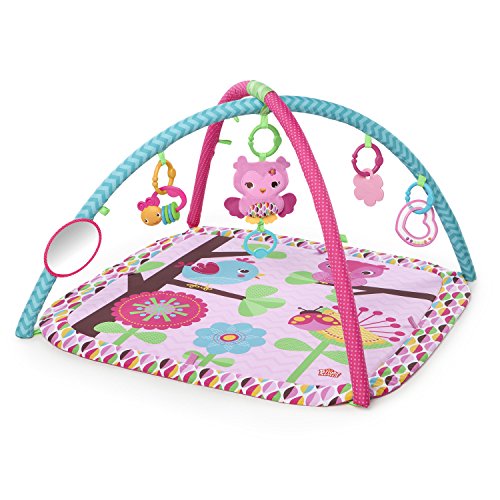 Product Cover Bright Starts Charming Chirps Activity Gym, Pretty in Pink