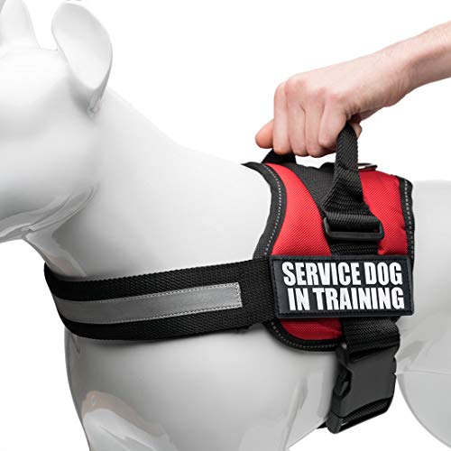Product Cover Service Dog In Training Vest With Hook and Loop Straps and Handle - Harnesses In Sizes From XXS to XXL - Service Dog Vest Harness Features Reflective Patch and Comfortable Mesh Design (Red, Large)
