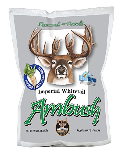 Product Cover Whitetail Institute Imperial Ambush (New) Food Plot Seed (Fall Planting), 10-Pound