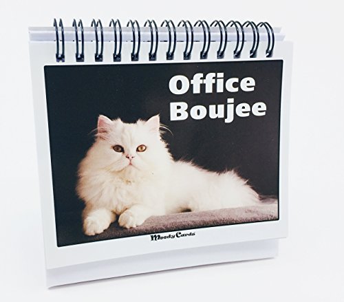 Product Cover Office Gift for Cat Lovers - Moodycards! Make Everyone Laugh with These Adorable and Hilarious Cat Memes - Let The Kittys Tell Everyone How You Feel! A Terrific Office Gift! 25 Different Moods