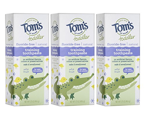 Product Cover Tom's of Maine Toddlers Fluoride-Free Natural Toothpaste in Gel, Mild Fruit, 1.75 Ounce, 3 Count