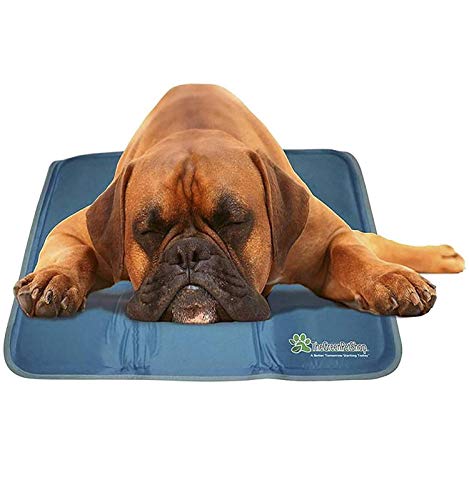 Product Cover The Green Pet Shop Dog Cooling Mat - Pressure-Activated Gel Cooling Mat For Dogs, Medium Large Size - This Pet Cooling Mat Keeps Dogs and Cats Comfortable All Summer - Ideal for Home and Travel