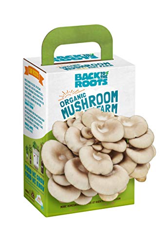 Product Cover Back to the Roots Organic Mushroom Mini Farm Grow Kit, Harvest Gourmet Oyster Mushrooms in 10 Days, Top Gardening Gift, Holiday Gift, Unique Gift