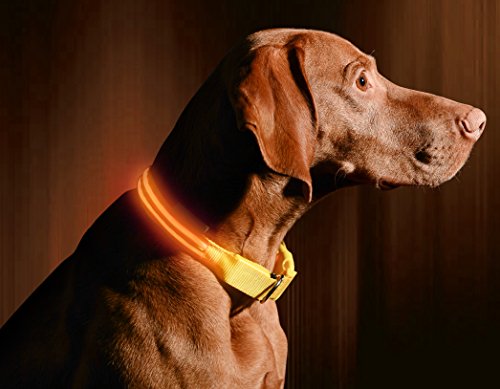 Product Cover LED Dog Collar - USB Rechargeable - Available in 6 Colors & 6 Sizes - Makes Your Dog Visible, Safe & Seen