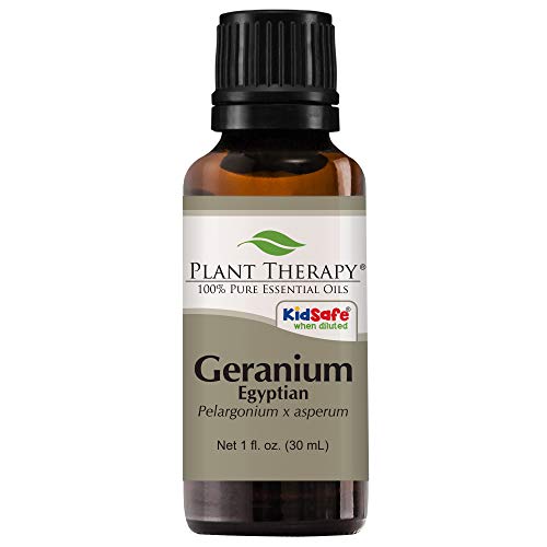 Product Cover Plant Therapy Geranium Egyptian Essential Oil | 100% Pure, Undiluted, Natural Aromatherapy, Therapeutic Grade | 30 milliliter (1 ounce)