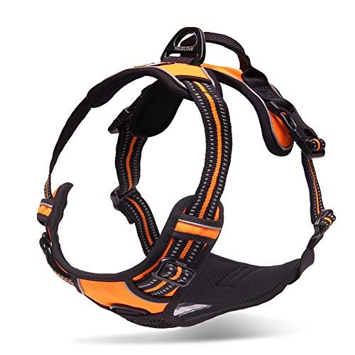 Product Cover Chai's Choice Best Outdoor Adventure Dog Harness (Large, Orange)