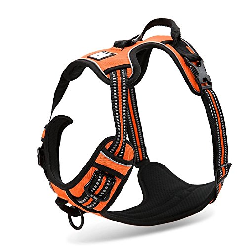 Product Cover Chai's Choice Best Outdoor Adventure Dog Harness (Medium, Orange)