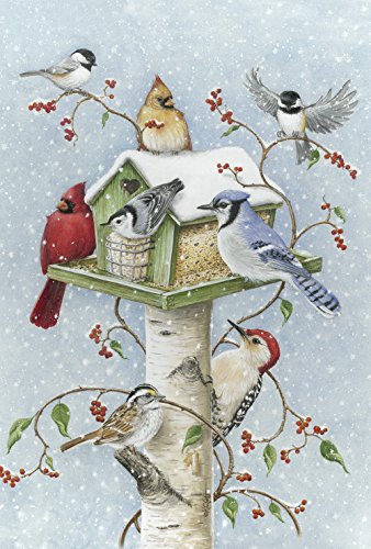 Product Cover Toland Home Garden Winter Birds 28 x 40 Inch Decorative Snow Bird Cardinal Jay Birdhouse House Flag - 1010097