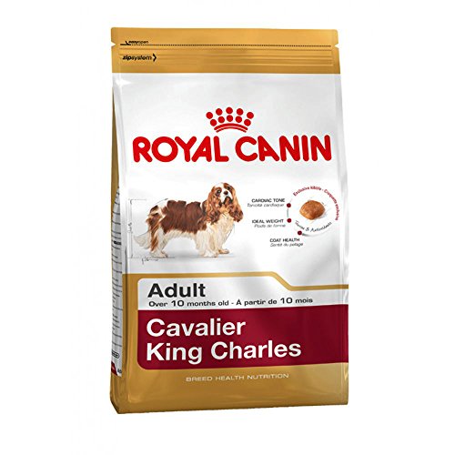 Product Cover Royal Canin Cavalier King Charles Adult Dry Dog Food 1.5KG