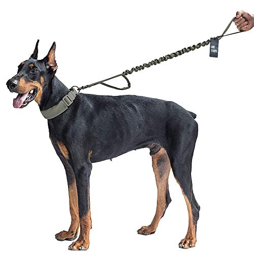 Product Cover OneTigris Tactical Dog Training Bungee Leash with Control Handle Quick Release Nylon Leads Rope - 2019 Advanced Version (Ranger Green)