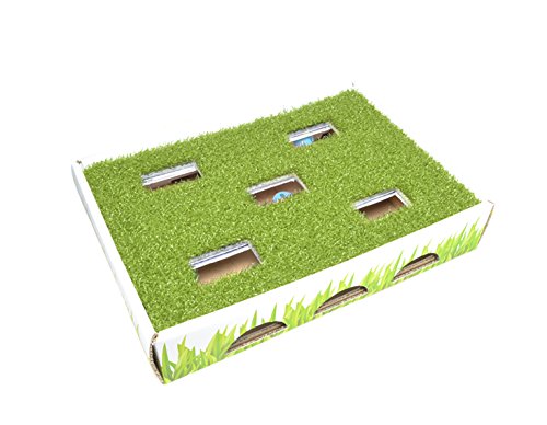 Product Cover Grass Patch Hunting and Play Box Cat Ball Toy by Petstages