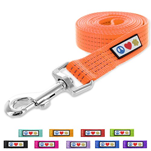 Product Cover Pawtitas Pet / Puppy 6 - feet Reflective Dog Leash Medium / Large 1 Inch Orange Matching Collar and Harness sold separately.