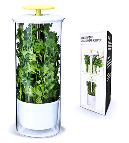 Product Cover Premium Herb Keeper and Herb Storage Container - Extra Large Glass Design Keeps Greens and Vegetables Fresh for 2x Longer - By NOVART