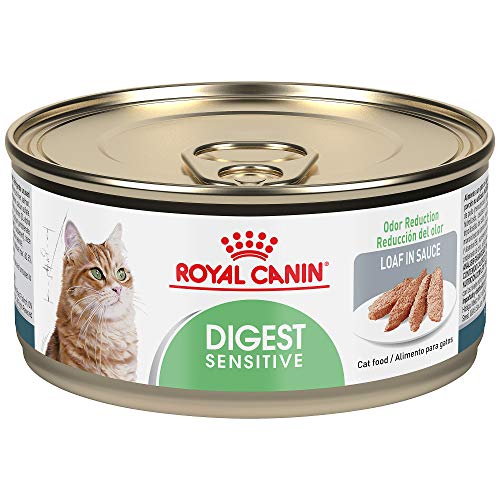 Product Cover Royal Canin Feline Health Nutrition Digest Sensitive Loaf in Sauce Canned Cat Food (24 Pack), 5.8 oz