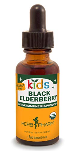 Product Cover Herb Pharm Kids Certified-Organic Alcohol-Free Black Elderberry Glycerite Liquid Extract, 1 Ounce