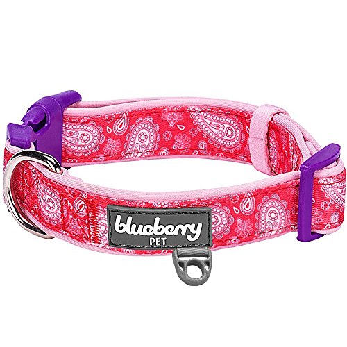 Product Cover Blueberry Pet 5 Patterns Soft & Comfy Paisley Flower Print Girl Neoprene Padded Dog Collar, Hot Pink, Medium, Neck 14.5