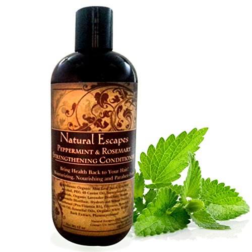Product Cover Peppermint & Rosemary Conditioner | Restores Hair's Natural Health & Beauty | Includes Pure Essential Oils to Stimulate Hair Growth | No Sulfates or Parabens | 16oz