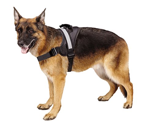 Product Cover Big Dog Soft Reflective No Pull Black Harness size XL 36-46inch