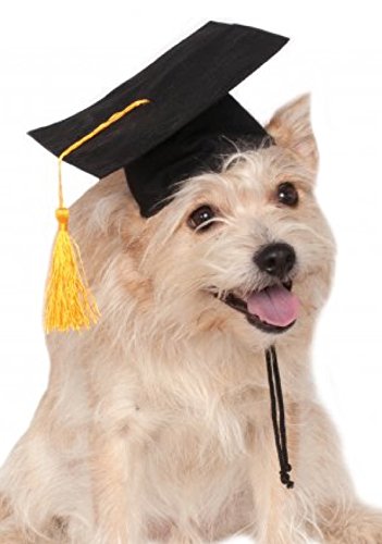 Product Cover Rubie's Black Graduation Hat Pet Accessory, Medium/Large