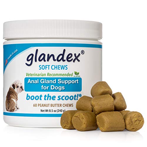 Product Cover Glandex Anal Gland Soft Chew Treats with Pumpkin for Dogs 60ct Chews with Digestive Enzymes, Probiotics Fiber Supplement for Dogs - Vet Recommended - Boot The Scoot (Peanut Butter)