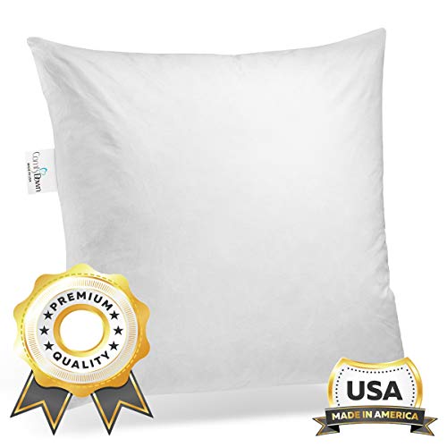 Product Cover ComfyDown 95% Feather 5% Down, 20 X 20 Square Decorative Pillow Insert, Sham Stuffer - Made in USA