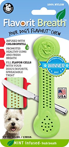 Product Cover Pet Qwerks Flavorit Mint Flavor Nylon Chew for Fresh Breath - Fillable Dog Bones for Aggressive Chewers, Tough Power Chewer Bone Toys | Made in USA with FDA Compliant Nylon - for Small Dogs