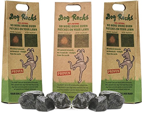 Product Cover Dog Rocks - 100% Natural Grass Burn Prevention - Prevents Lawn Urine Stains - Three Small Bags - 6 Month Supply