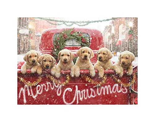 Product Cover Avanti Press Christmas Cards, All The Love Your Heart Can Hold, 10 Count (701240)