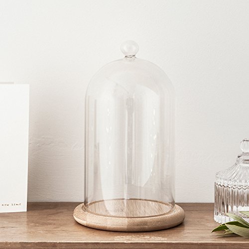 Product Cover Lights4fun, Inc. Glass Cloche Bell Jar Display Dome with Bamboo Base - 8
