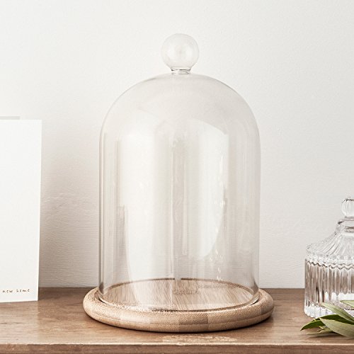 Product Cover Lights4fun, Inc. Glass Cloche Bell Jar Display Dome with Bamboo Base - 9