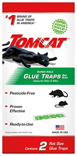 Product Cover Tomcat 0362910 Super Hold Glue, Contains 2 Rat Size Traps, 1 Pack