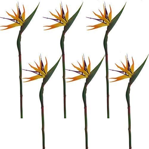 Product Cover Lily Garden Pack of 6 Bird of Paradise Spray Natural (Orange, 22.5 Inch)