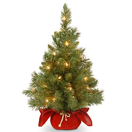 Product Cover National Tree 24 Inch Majestic Fir Tree with 35 Battery Operated Warm White LED Lights (MJ3-24BGLO-B1)
