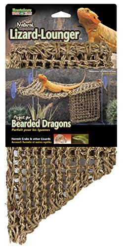 Product Cover Penn Plax REP701 Lizard Lounger, 100% Natural Seagrass Fibers For Anoles, Bearded Dragons, Geckos, Iguanas, and Hermit Crabs Triangular 14 x 14 Inches Large
