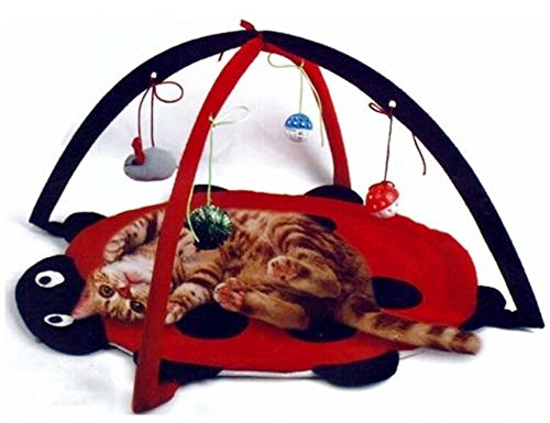 Product Cover Petty Love House Cat Activity Center with Hanging Toy Balls, Mice More - Helps Cats Get Exercise  Stay Active Best Cat Toys on Amazon