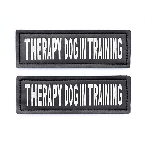 Product Cover Industrial Puppy Therapy Dog in Training Patch with Hook Back and Reflective Lettering - Therapy Dog in Training Tag Patches for Therapy Dog Vest