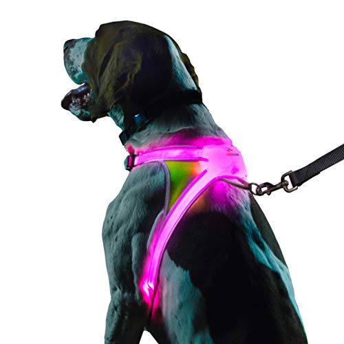 Product Cover noxgear LightHound - Multicolor LED Illuminated, Reflective Dog Harness (Medium)