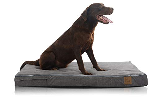 Product Cover Laifug Orthopedic Memory Foam Pet/Dog Bed with Durable Water Proof Liner and Removable Designer Washable Cover, 46'' L x 28'' W x 4'' H, Slate Grey