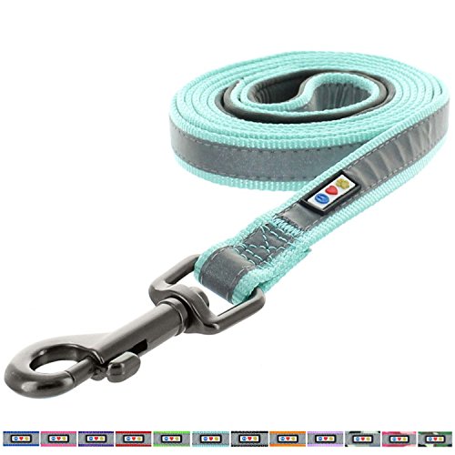 Product Cover Pawtitas Padded Dog Leash Puppy Leash Reflective Dog Leash Padded Handle Highly Reflective Dog Training Leash 6 ft Leash Teal Leash Extra Small Dog Leash/Small Dog Leash Teal Dog Leash