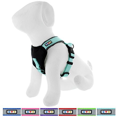 Product Cover Pawtitas Padded Harness Puppy Harness Dog Harness Reflective Harness Behavioral Harness Training Harness Medium Harness Teal Harness