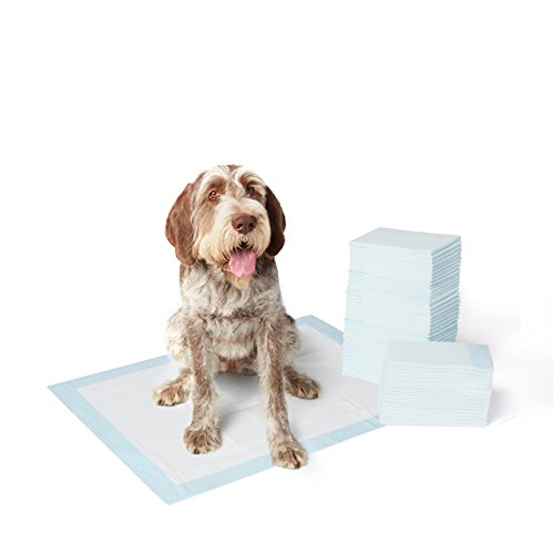 Product Cover AmazonBasics Extra-Large Pet Dog and Puppy Training Pads - Pack of 60