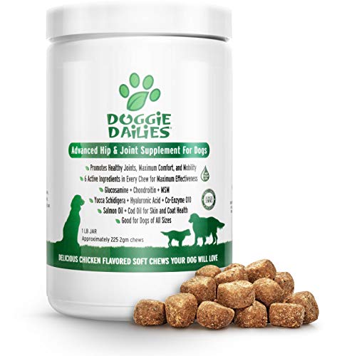 Product Cover Doggie Dailies Glucosamine for Dogs: 225 Soft Chews, Advanced Hip & Joint Supplement for Dogs with Glucosamine, Chondroitin, MSM, Hyaluronic Acid & CoQ10, Premium Joint Relief for Dogs Made in the USA