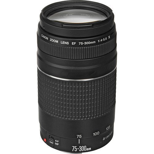 Product Cover Canon EF 75-300mm f/4-5.6 III Telephoto Zoom Lens for Canon SLR Cameras (Renewed)
