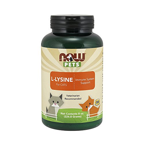 Product Cover NOW Pet Health, L-Lysine Supplement, Powder, Formulated for Cats, NASC Certified, 8-Ounce